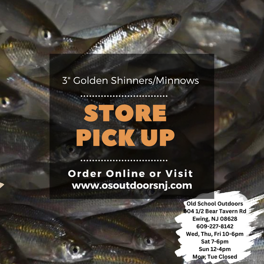 Order your Fresh Dozen Minnows Today!