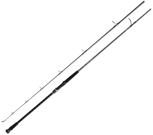 Emcast Surf Spinning Rod