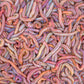 Live Bait Bloodworms